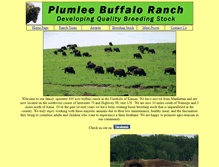 Tablet Screenshot of plumleeranch.com